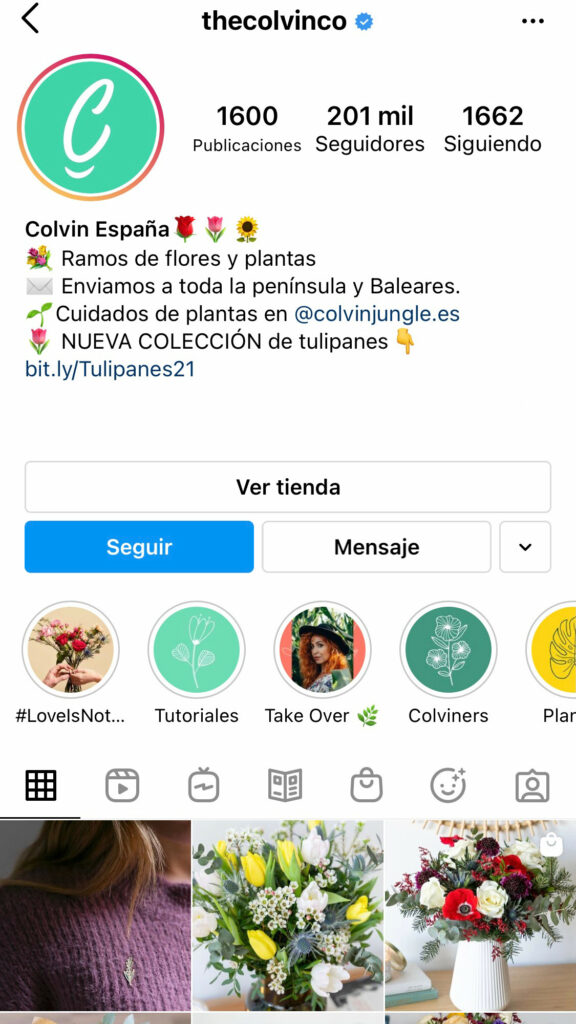 Instagram Cómo lograr una biografía perfecta iberoMEDIA